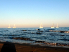 golden beach (1).JPG